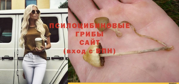 гидра Абаза