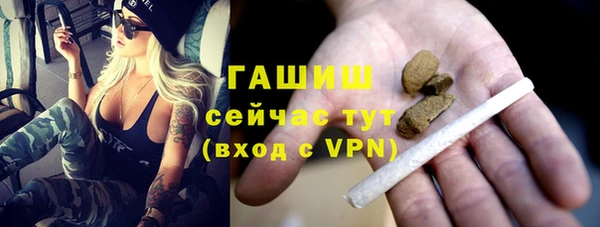 гидра Абаза