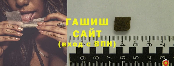 гидра Абаза