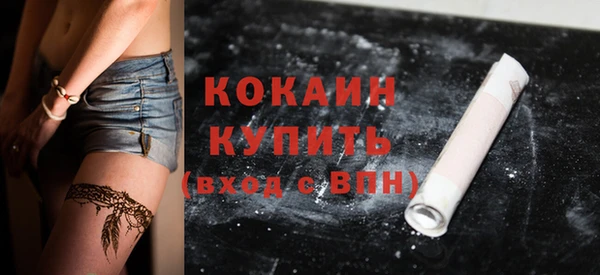 гидра Абаза