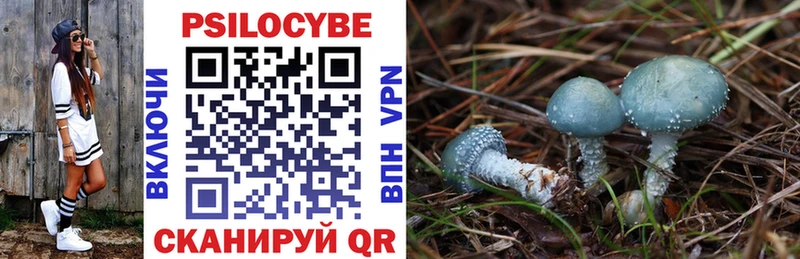 где купить наркоту  Ялуторовск  Галлюциногенные грибы Psilocybe 
